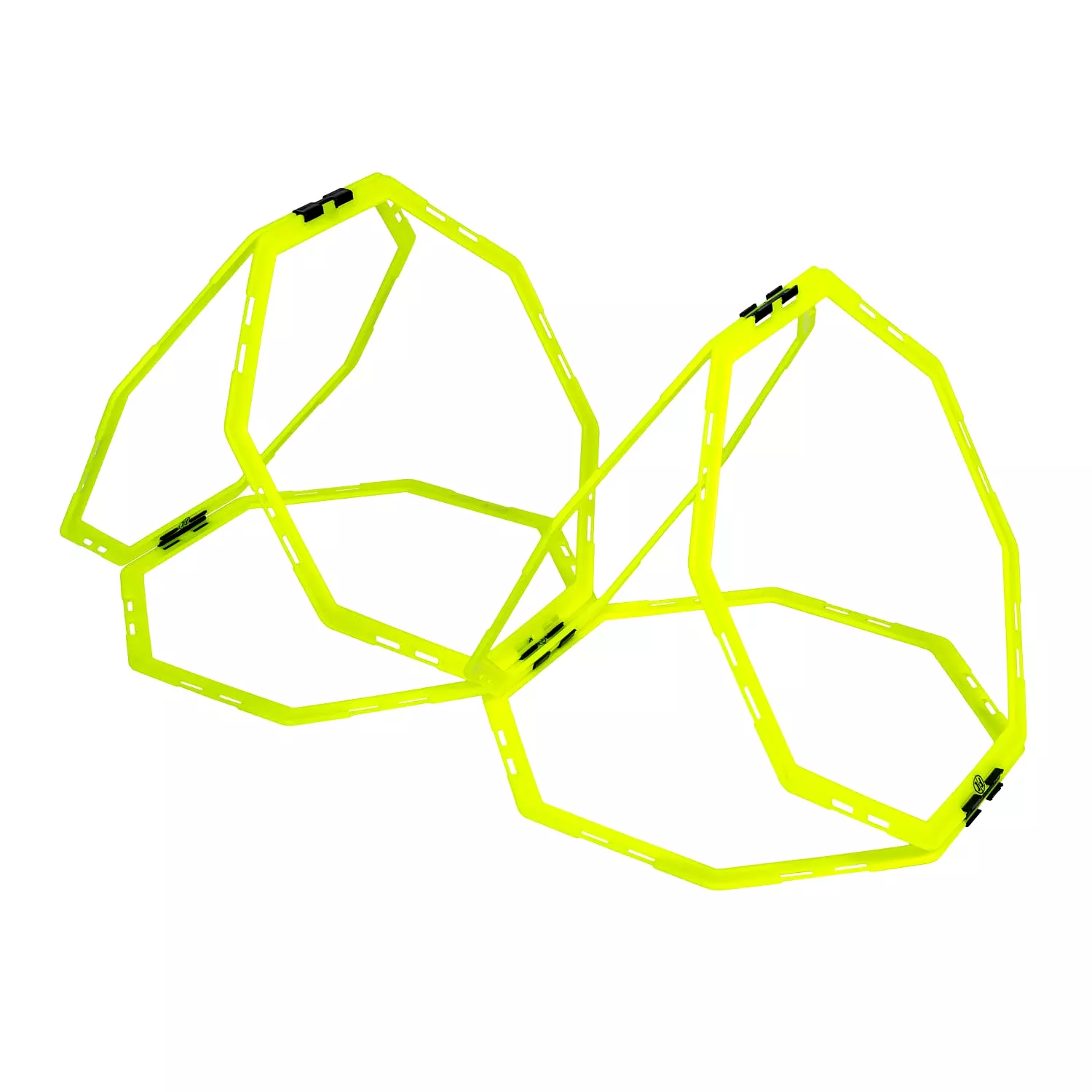 FC Octagon Agility Ring Ladder